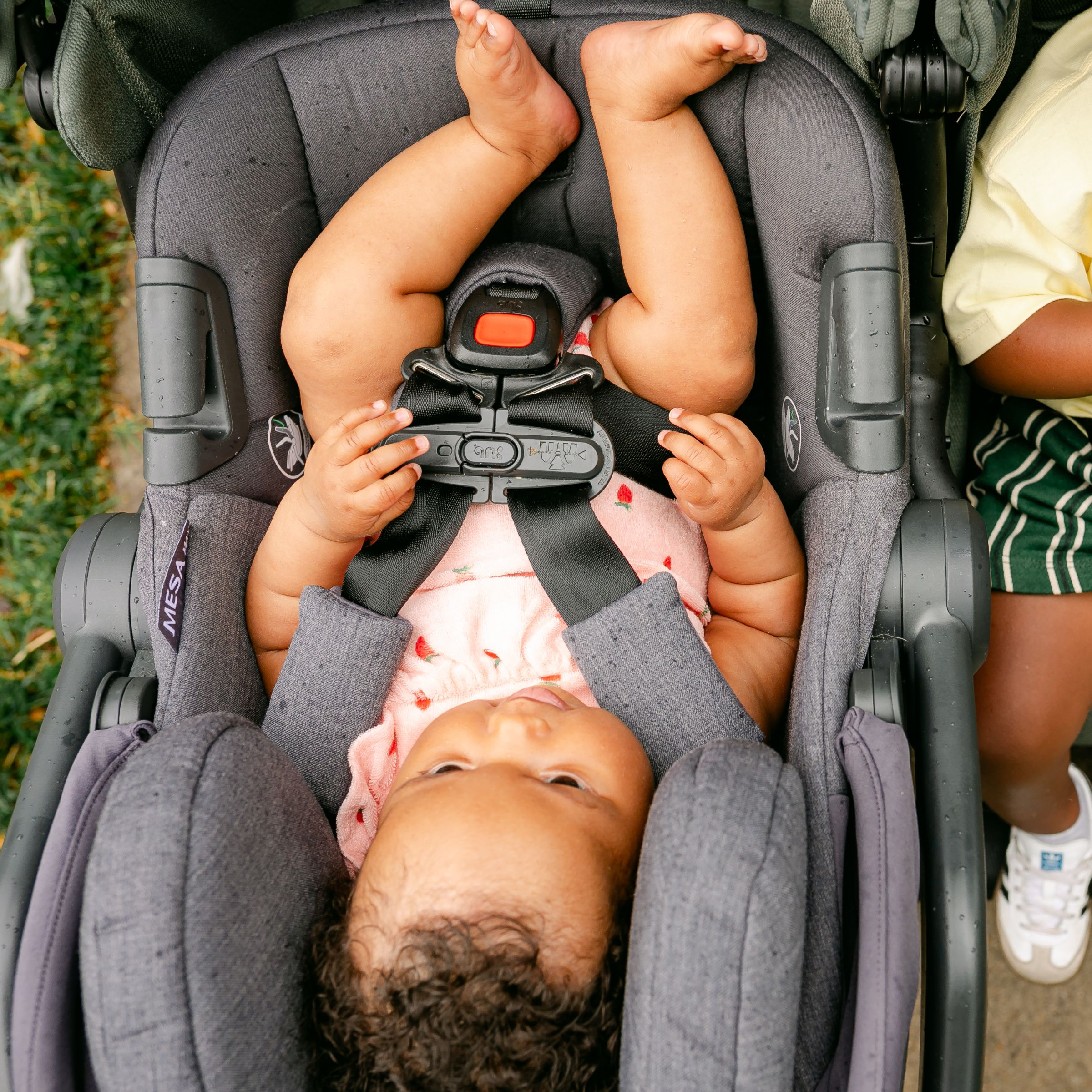 Zoe Twin V3 UPPAbaby Car Seat Adapter.