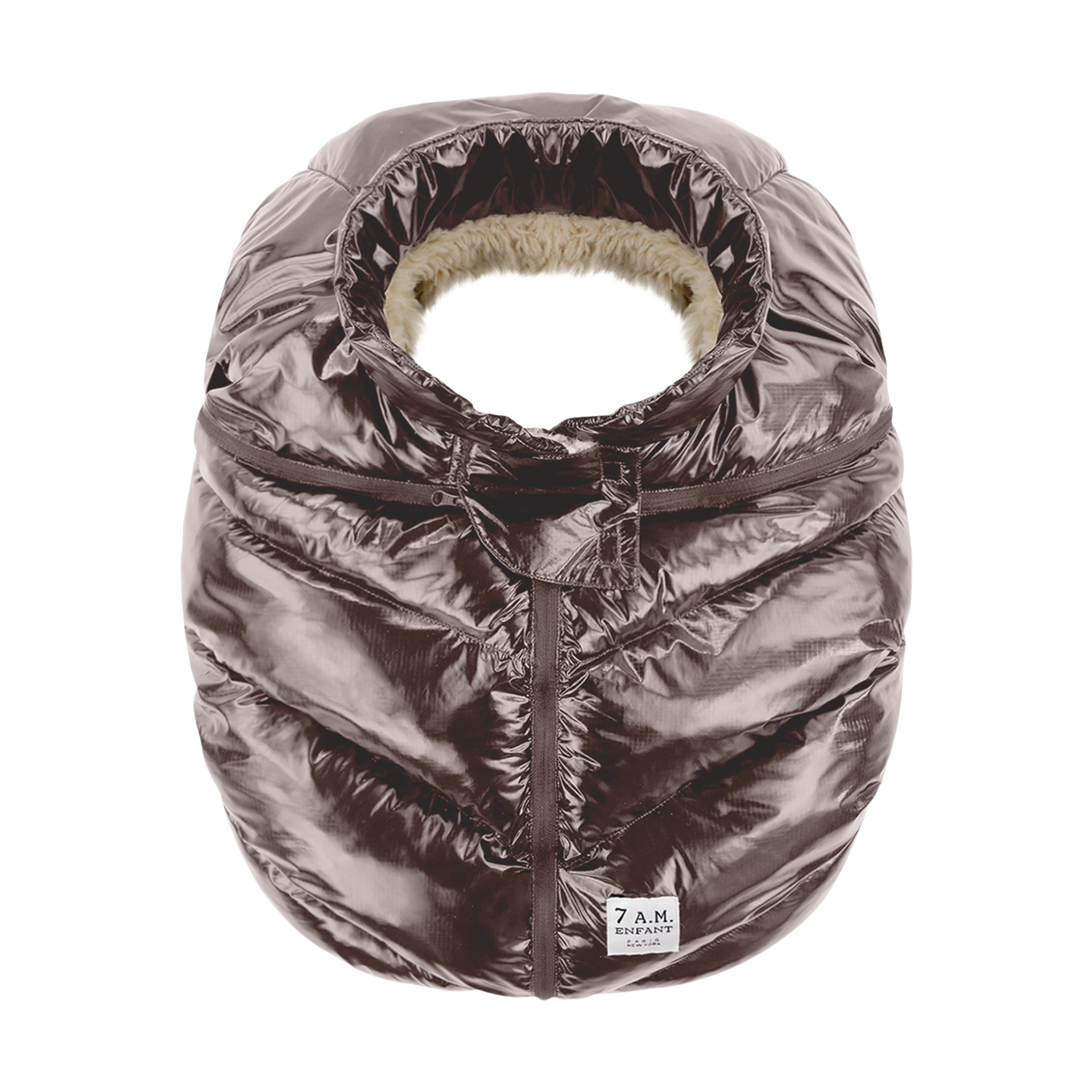 Thumbnail of Brown Polar