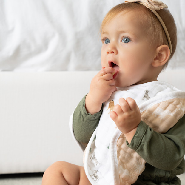 Aden + Anais Organic Muslin Burpy Bibs (2 Pack).