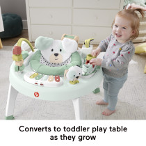 Fisher Price 3-in-1 Baby Activity Center Navy Dashes