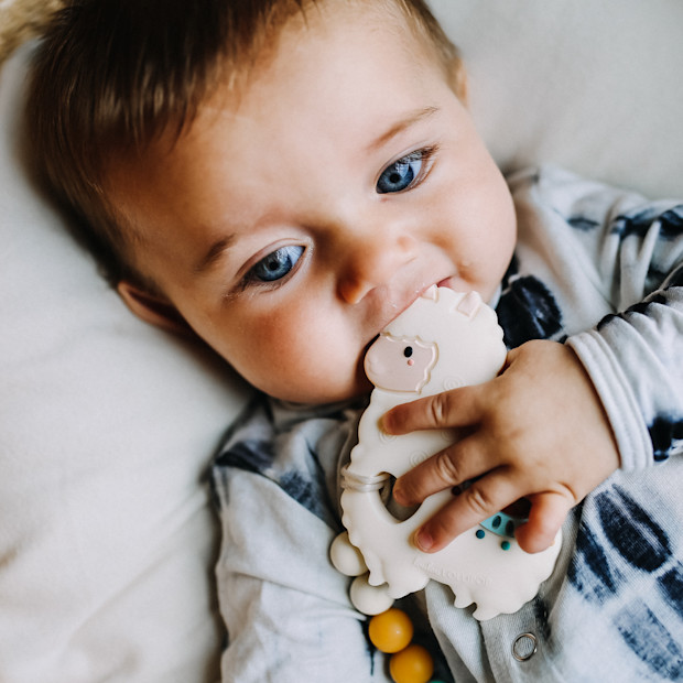 Loulou Lollipop Silicone Teether with Metal Clip.