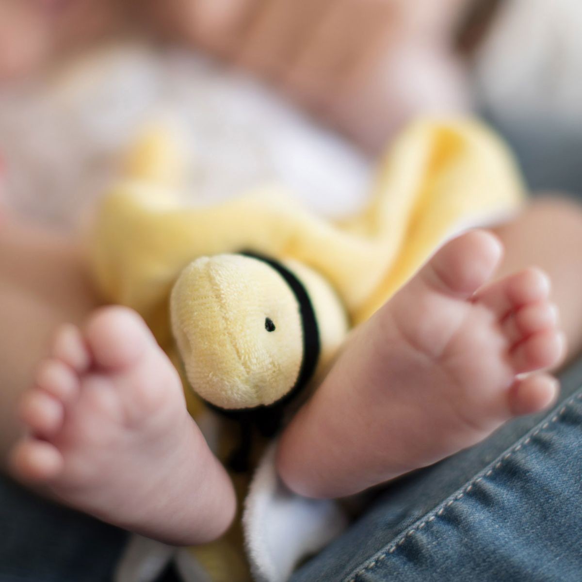 Burt's Bees Baby Hold Me Bee Organic Plush Lovey - Sunshine.