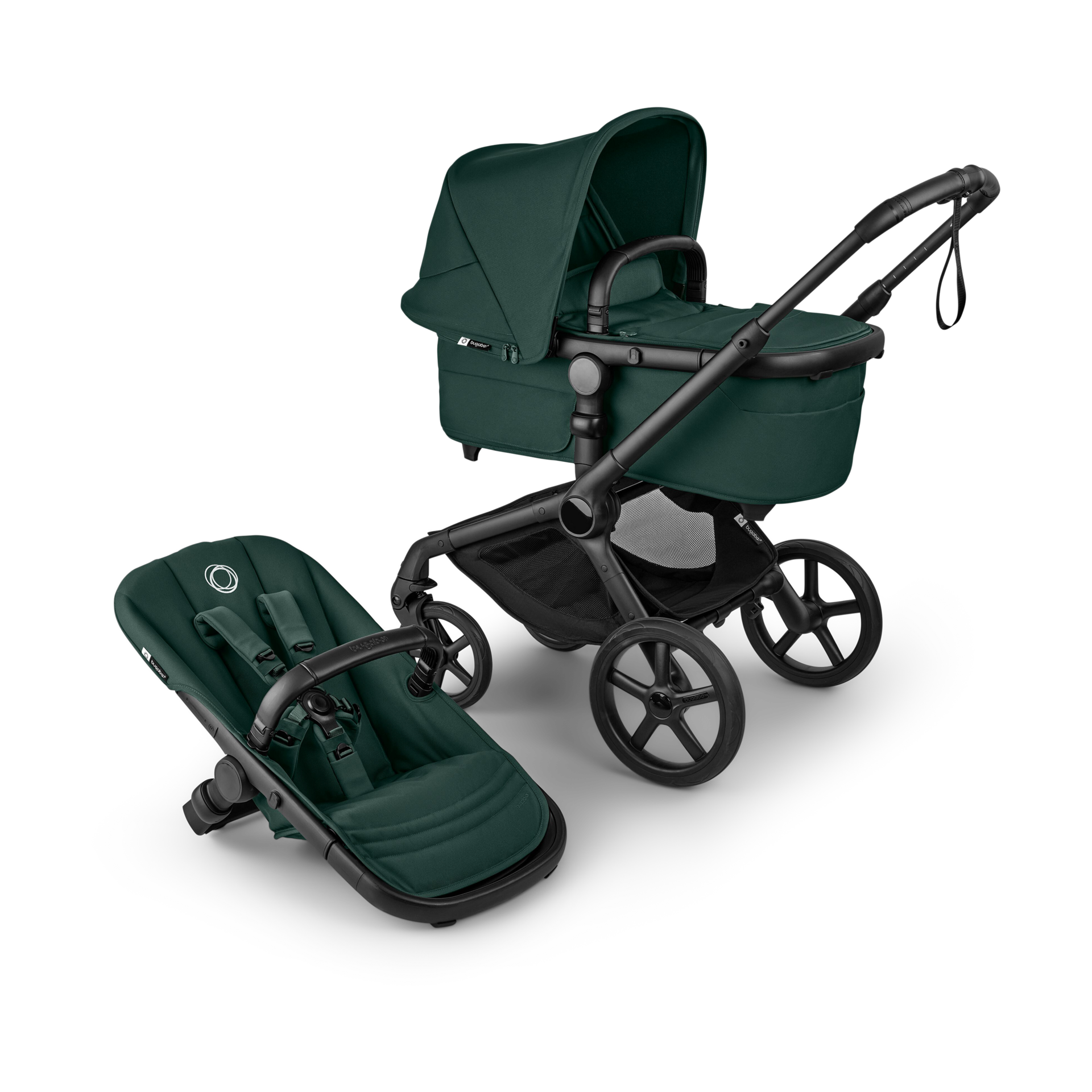 Thumbnail of Fern Green