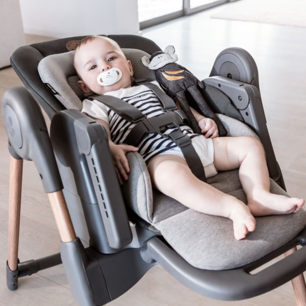 Pijl Herdenkings Allergie Maxi-Cosi Minla 6-in-1 Adjustable High Chair | Babylist Shop