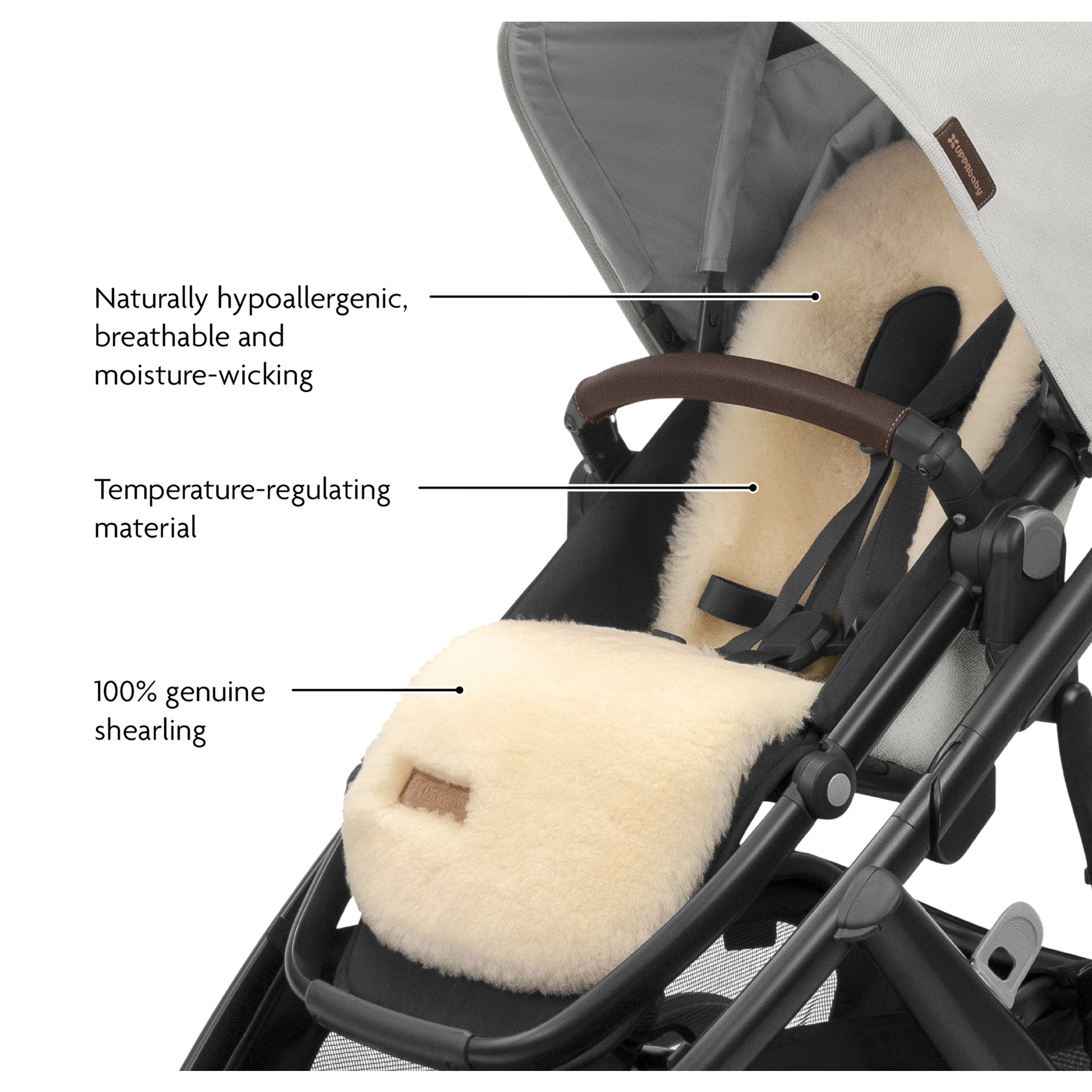 Product Image 5.