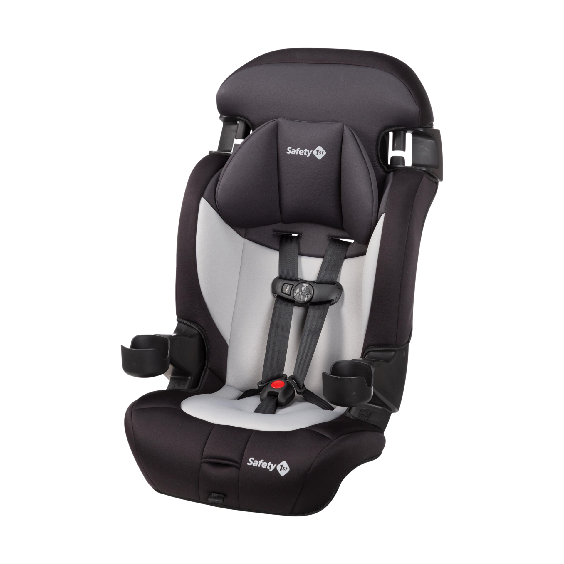 Thumbnail of Black Sparrow