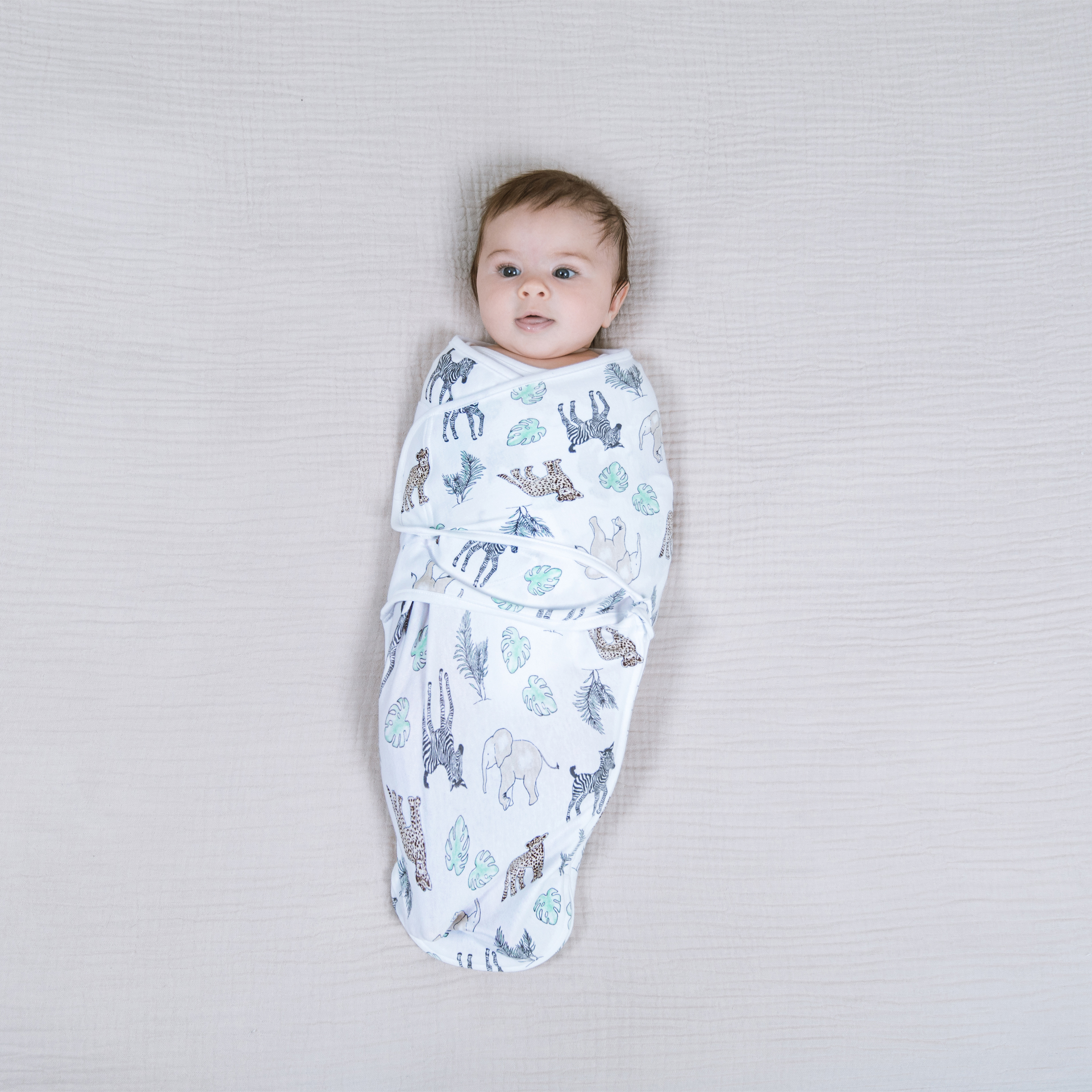 Aden + Anais Essentials Cotton Wrap Swaddles (3 Pack) - Toile, 0-3 Months, 3.