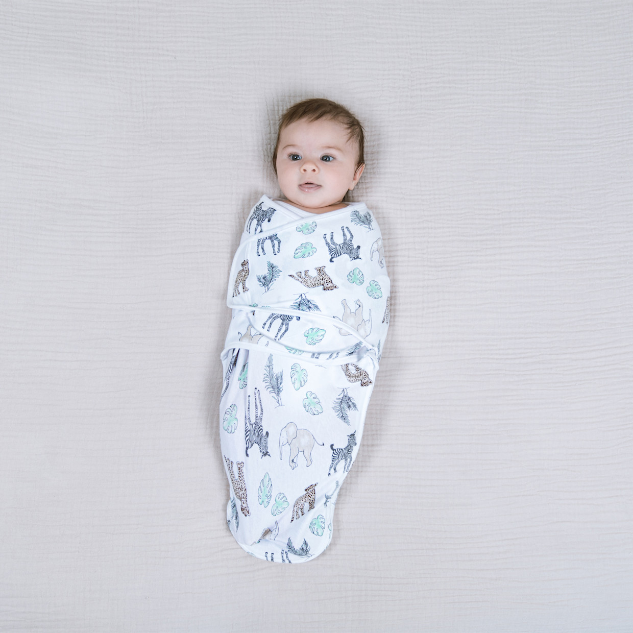 Aden + Anais Essentials Cotton Wrap Swaddles (3 Pack) - Toile, 0-3 Months, 3.