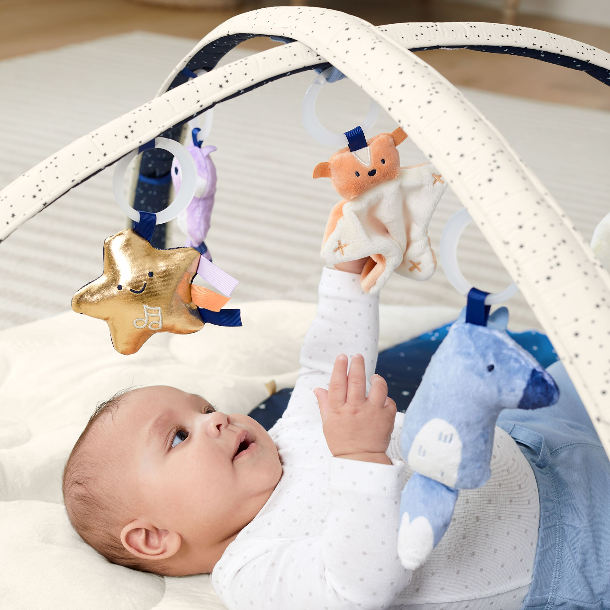 Skip Hop Celestial Dreams Activity Gym.