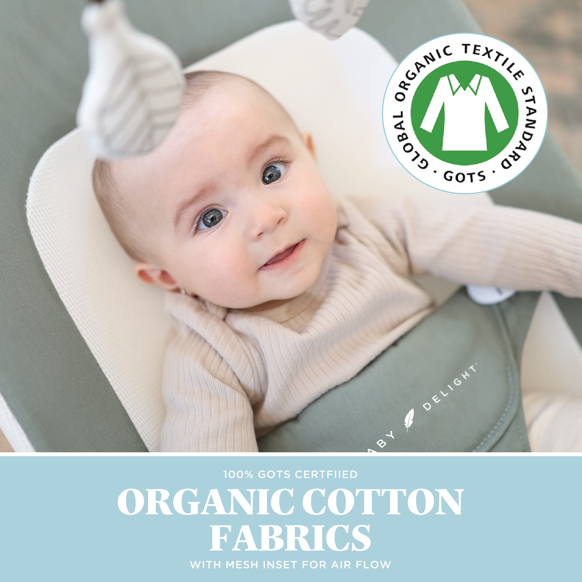 Baby Delight Highland Organic Portable Bouncer - Organic Sage.