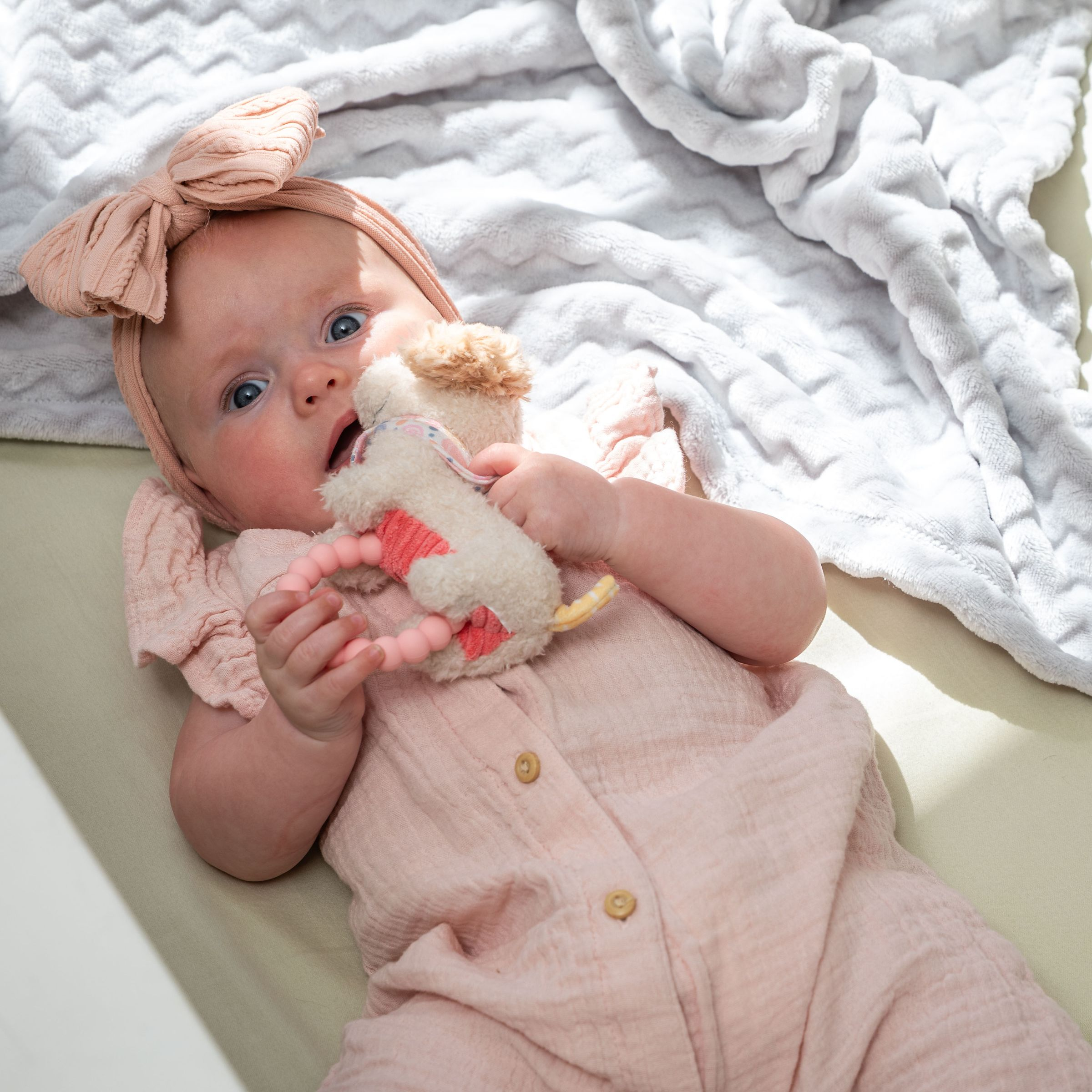 Mary Meyer Dancing Dachshund Teether Rattle.