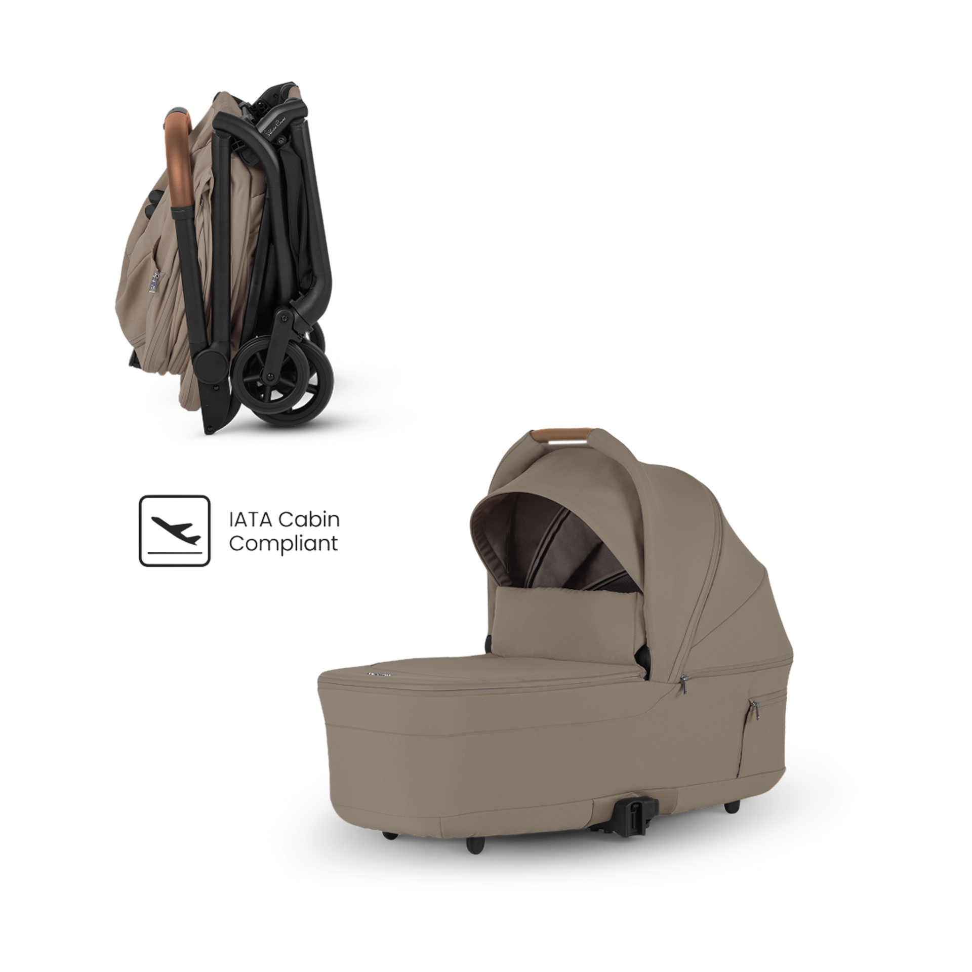 Thumbnail of Champagne