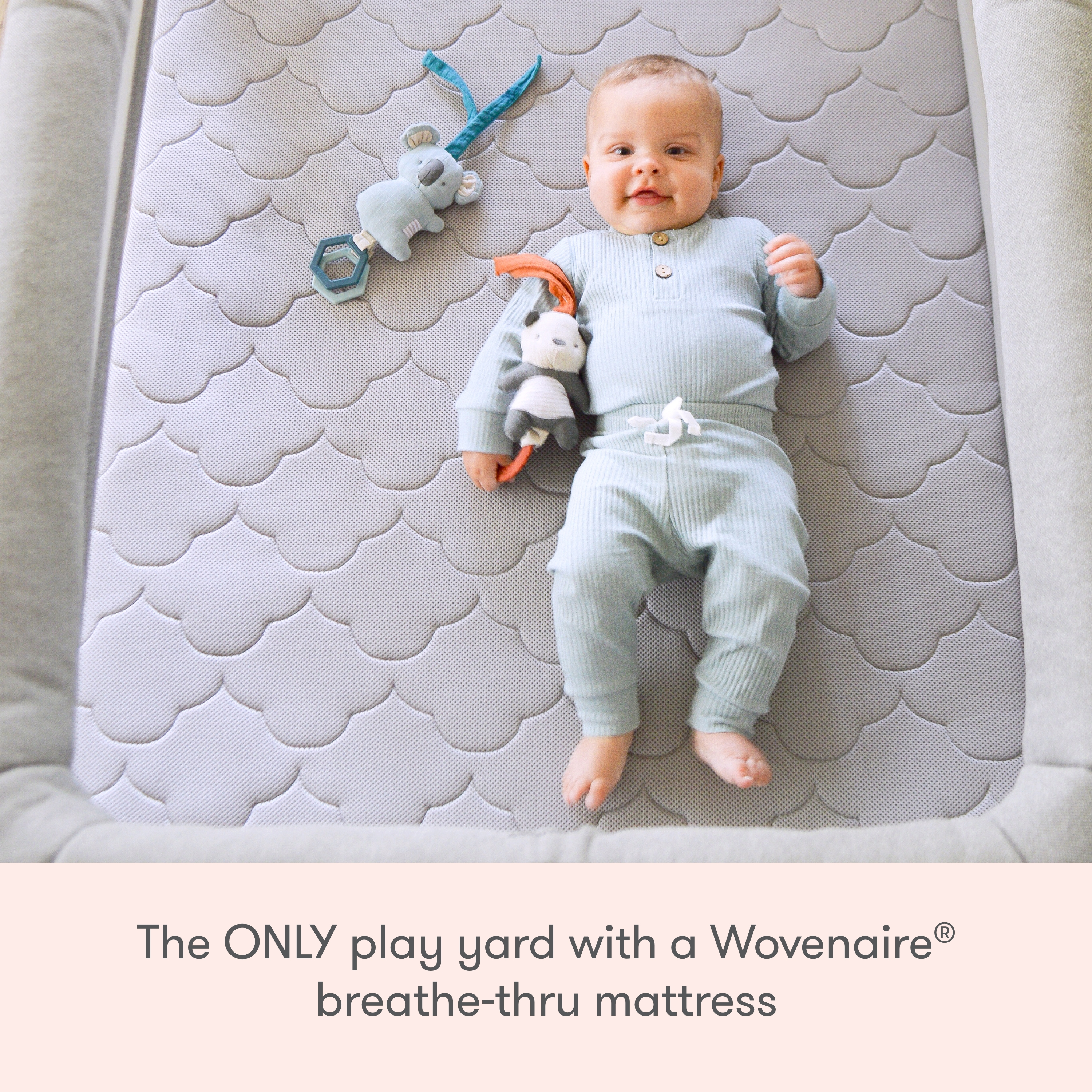 Newton Baby Deluxe Travel Crib & Play Yard + Bassinet + Sheets Bundle.