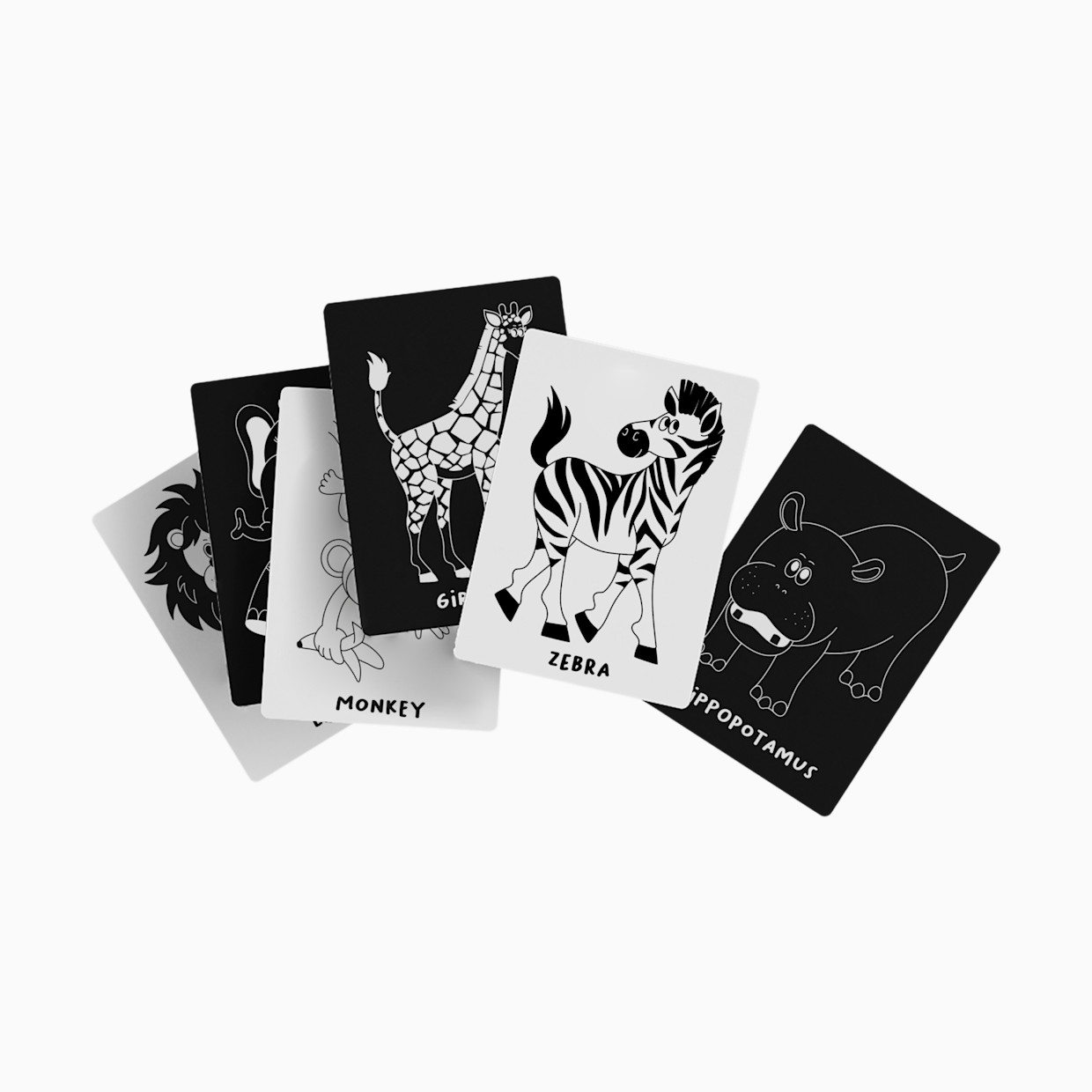 Lalo Art Cards - Safari Animals.