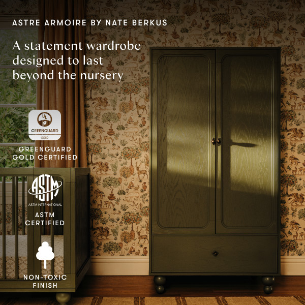 babyletto Astre Assembled Armoire by Nate Berkus - Archival Elm.
