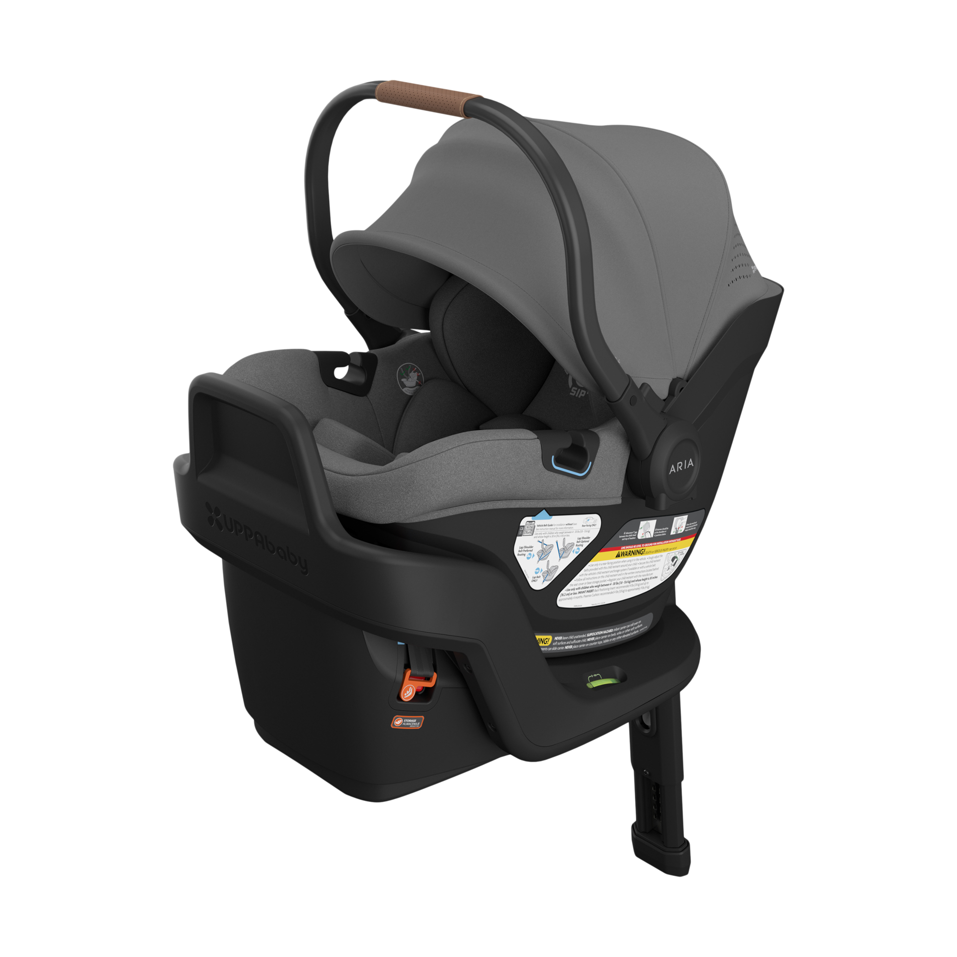 Thumbnail of Greyson