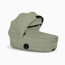 Thumbnail of Sage Green