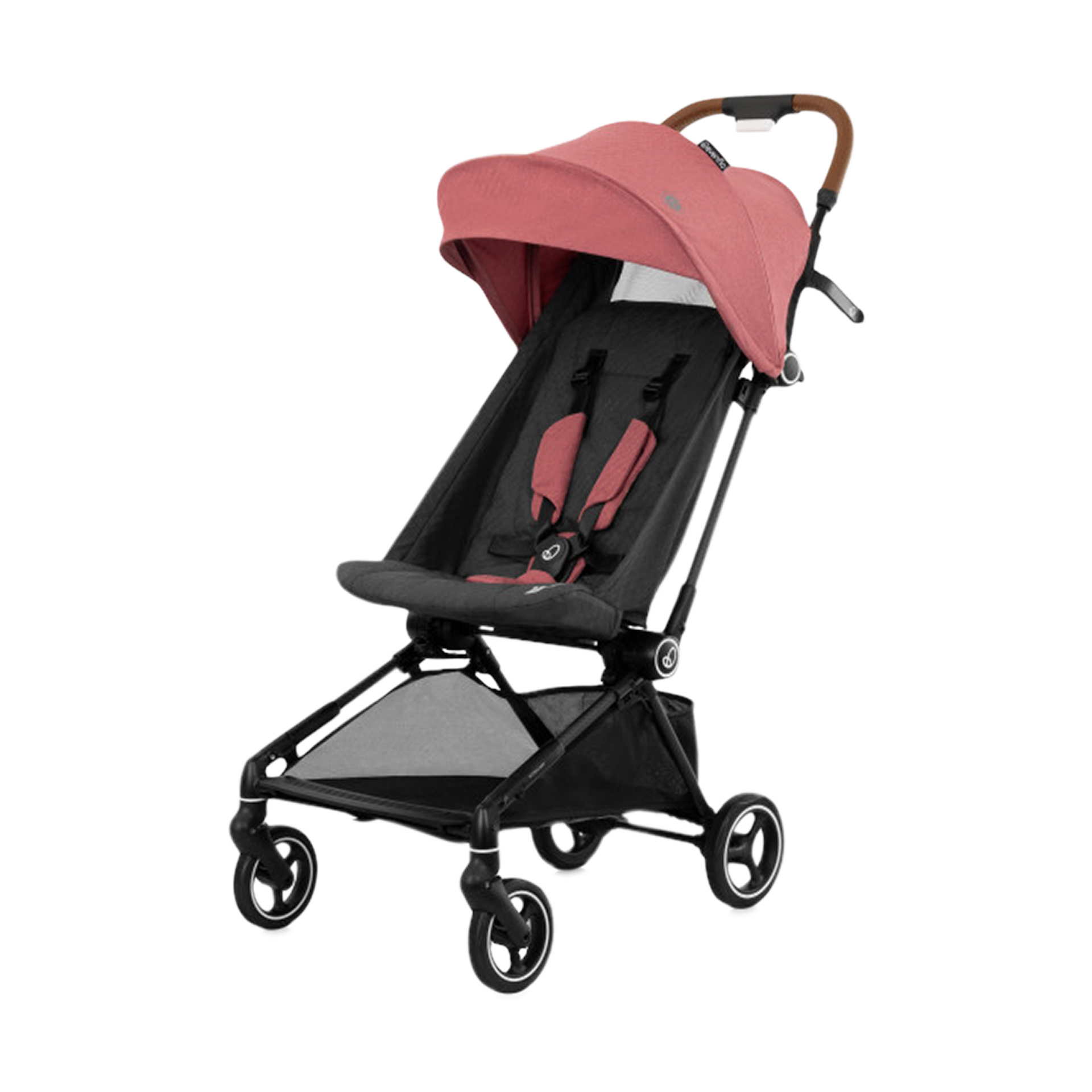 Thumbnail of Calypte Pink