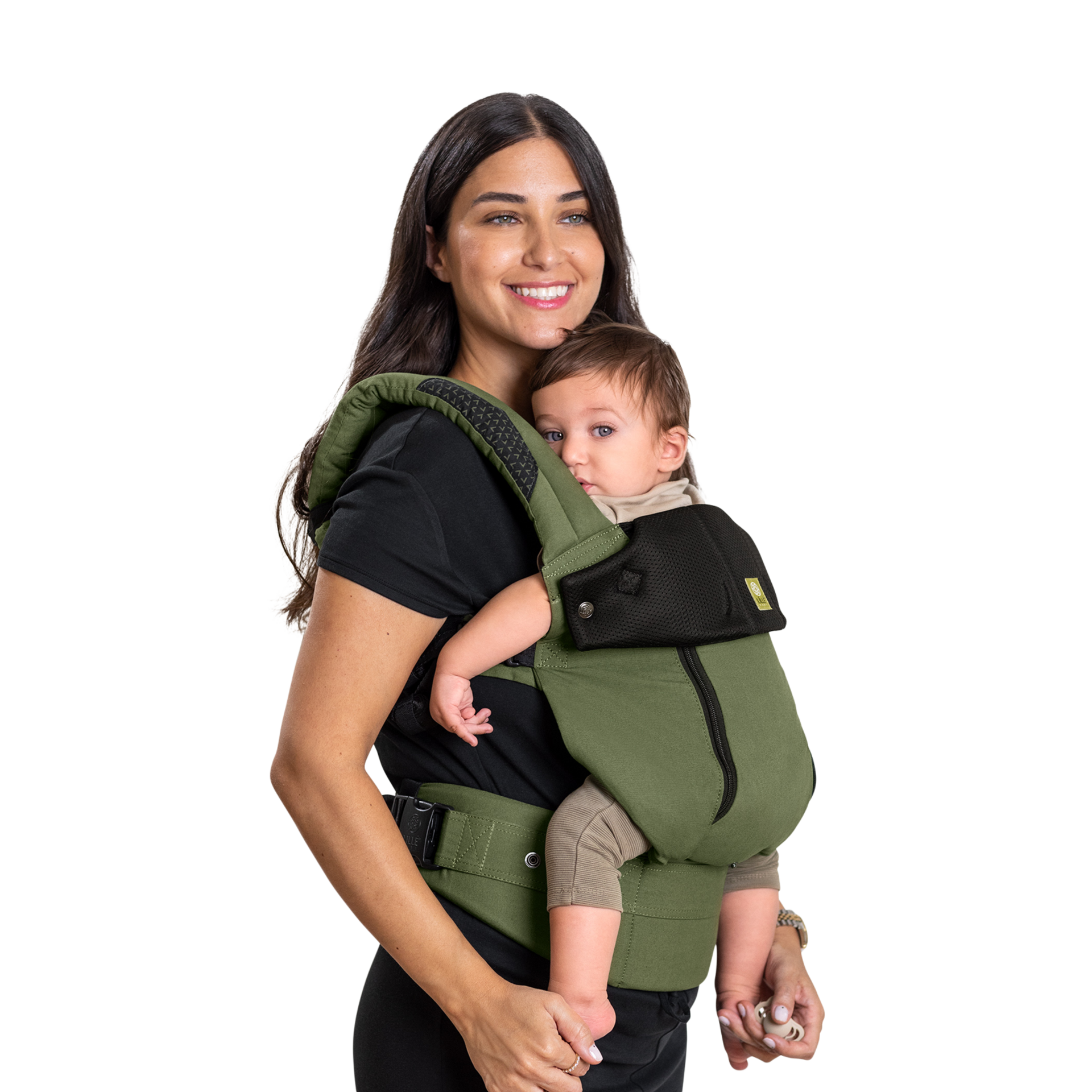 Thumbnail of Succulent