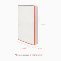 Mini crib mattress with coral border showing dimensions