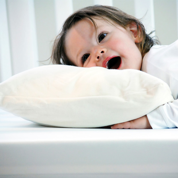 Moonlight Slumber SleepyTyme Toddler Pillow - White.