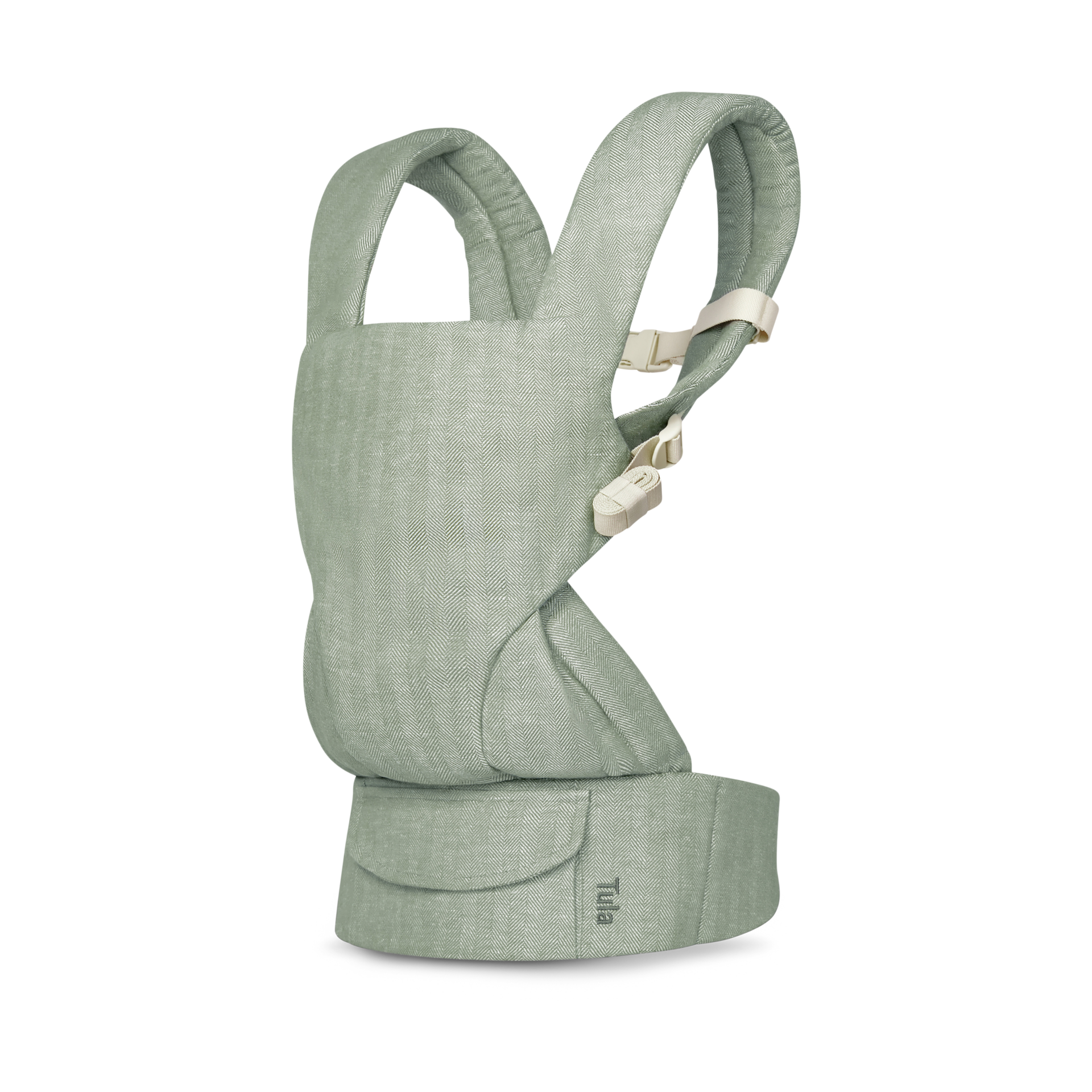 Thumbnail of Spruce