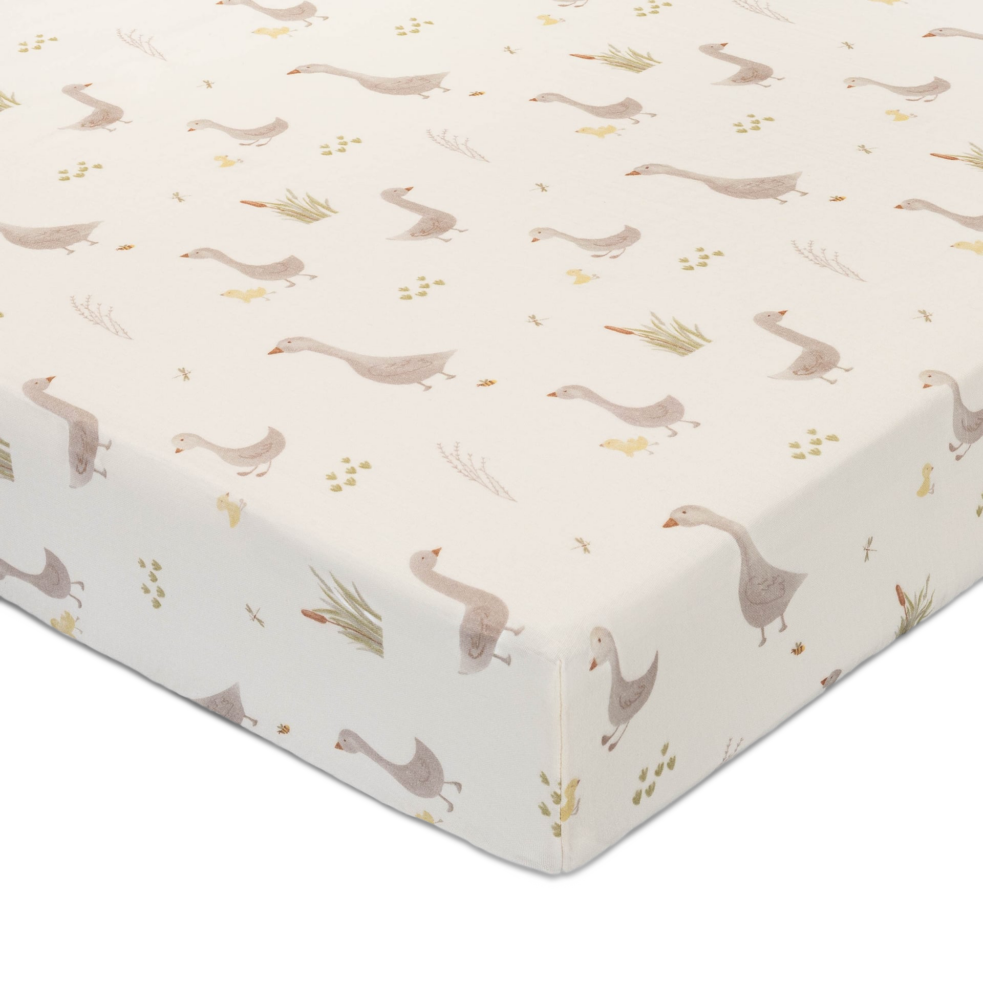 Thumbnail of Charlie Goose