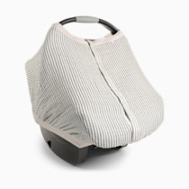 Thumbnail of Grey Stripe