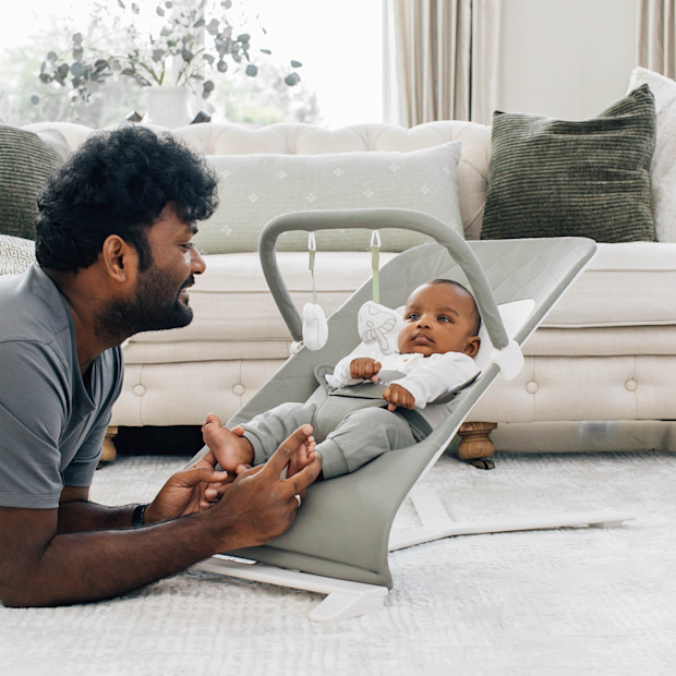 Baby Delight Alpine Organic Deluxe Portable Bouncer.