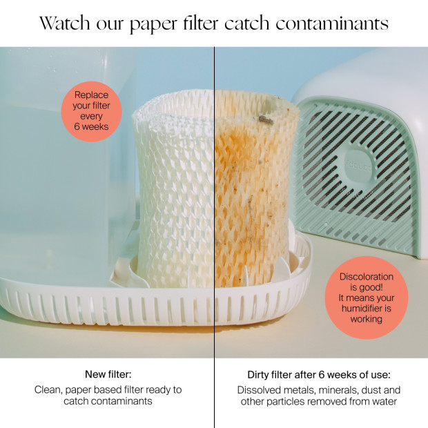 Canopy Humidifier Replacement Filters - White, 2.