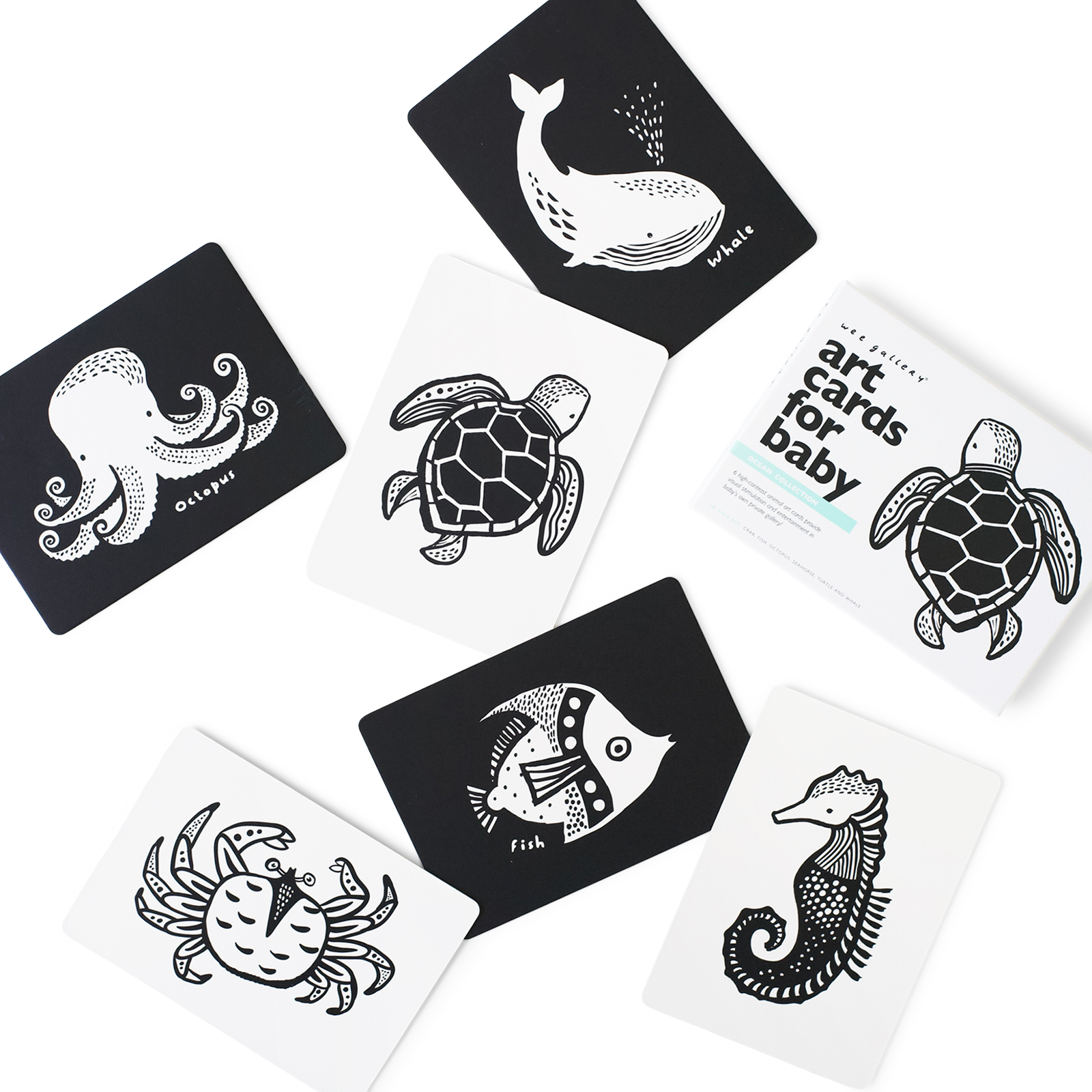 Wee Gallery Art Cards for Baby - Ocean.