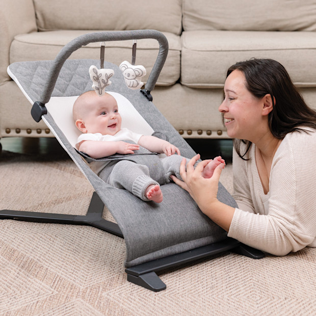 Baby Delight Alpine Deluxe Portable Bouncer.