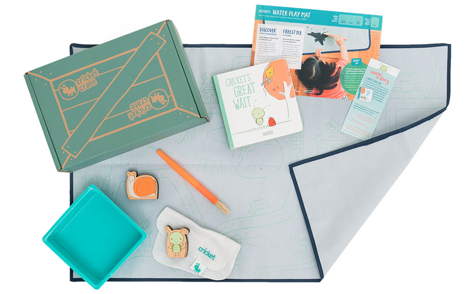 KiwiCo Project Subscription Box - $19.95 per month.