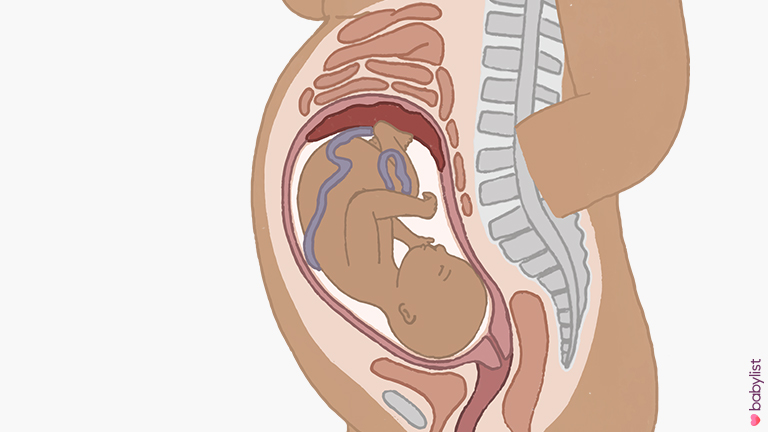 Pregnancy-Ultrasound-week-33
