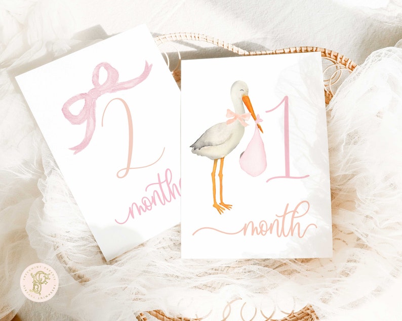 FreshmintPaperie Watercolor Stork Milestone Cards Milestone Cards.