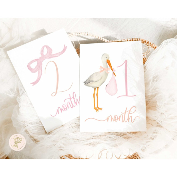 FreshmintPaperie Watercolor Stork Milestone Cards Milestone Cards.