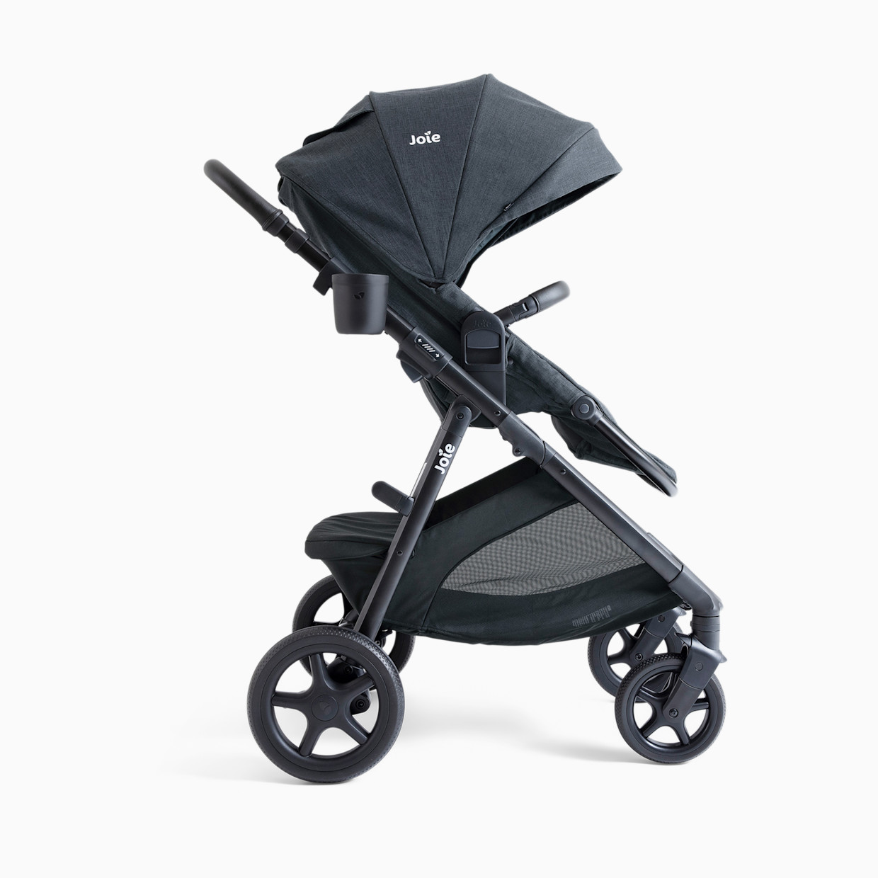 Joie Ginger And Rue - Twilight.