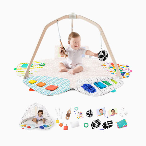 Lovevery The Play Gym.