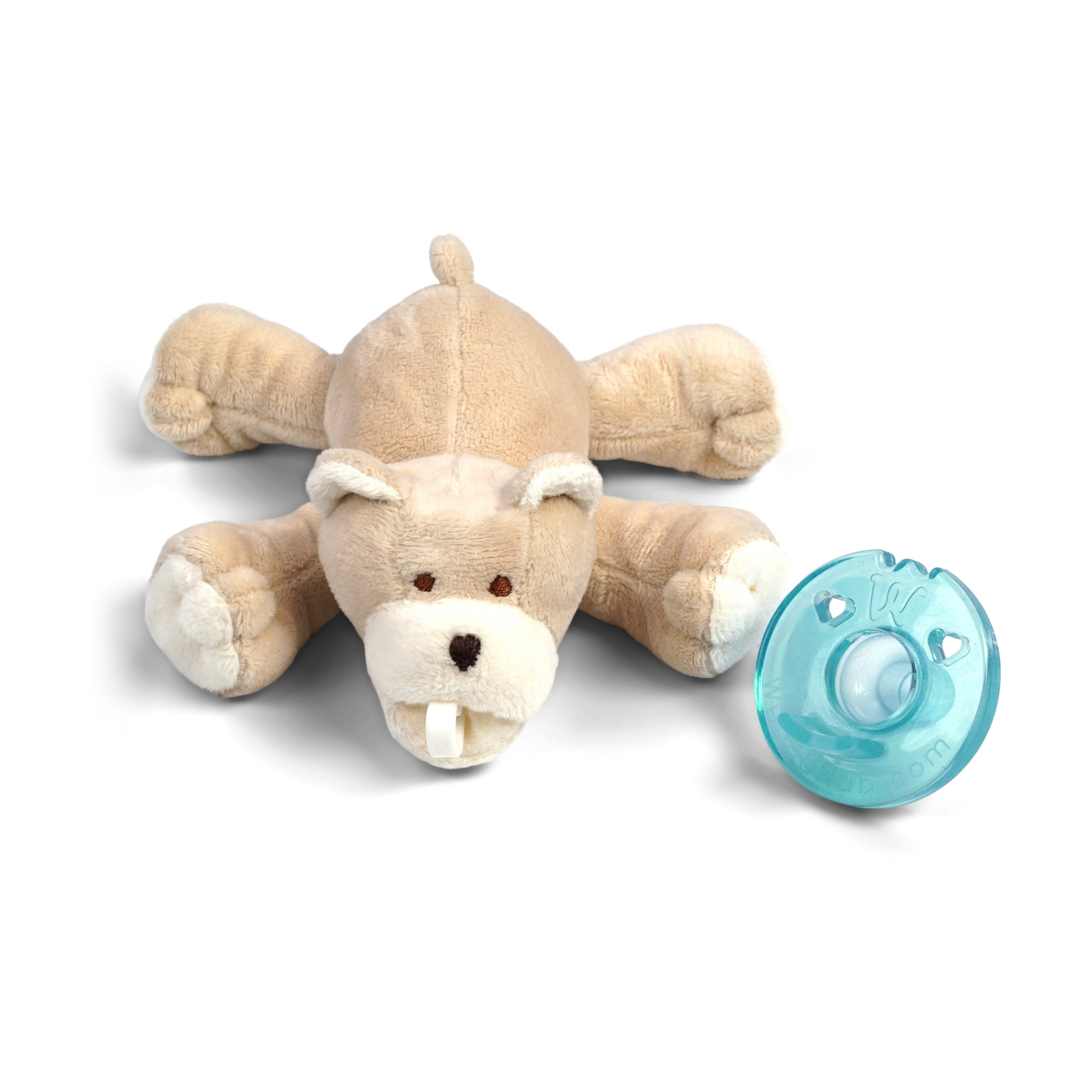 Thumbnail of Baby Bear