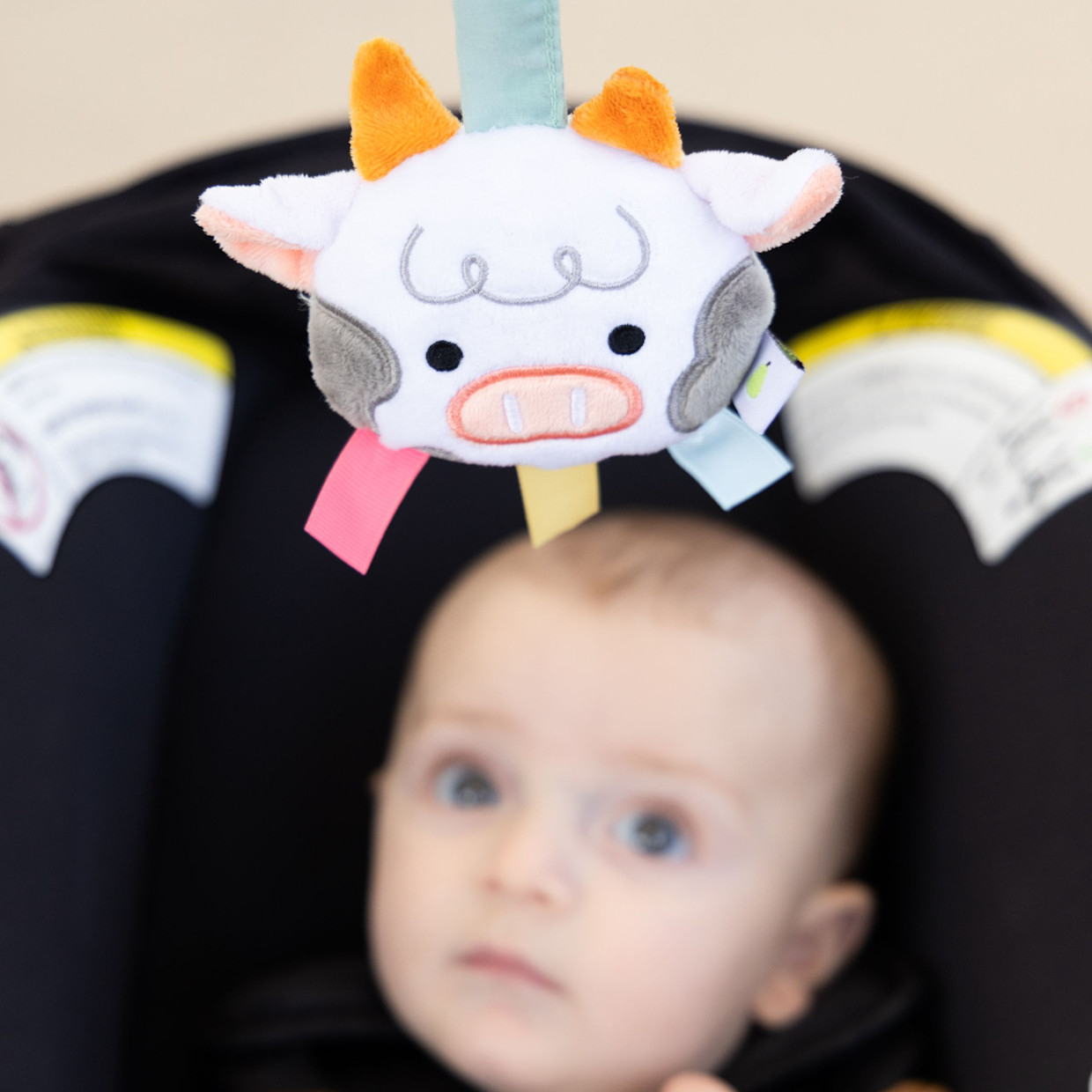 Pearhead 0-6 Months Baby Learning Toys Set.