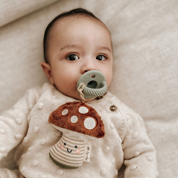 Itzy Ritzy Silicone Pacifier and Plush Pal.