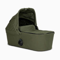 Thumbnail of Olive