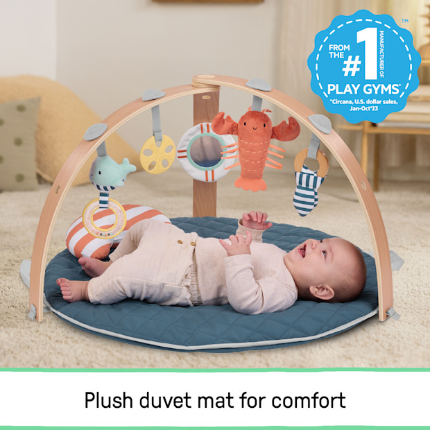 Ingenuity Cozy Spot Duvet Activity Gym with Self-Storage, Machine Washable Mat.