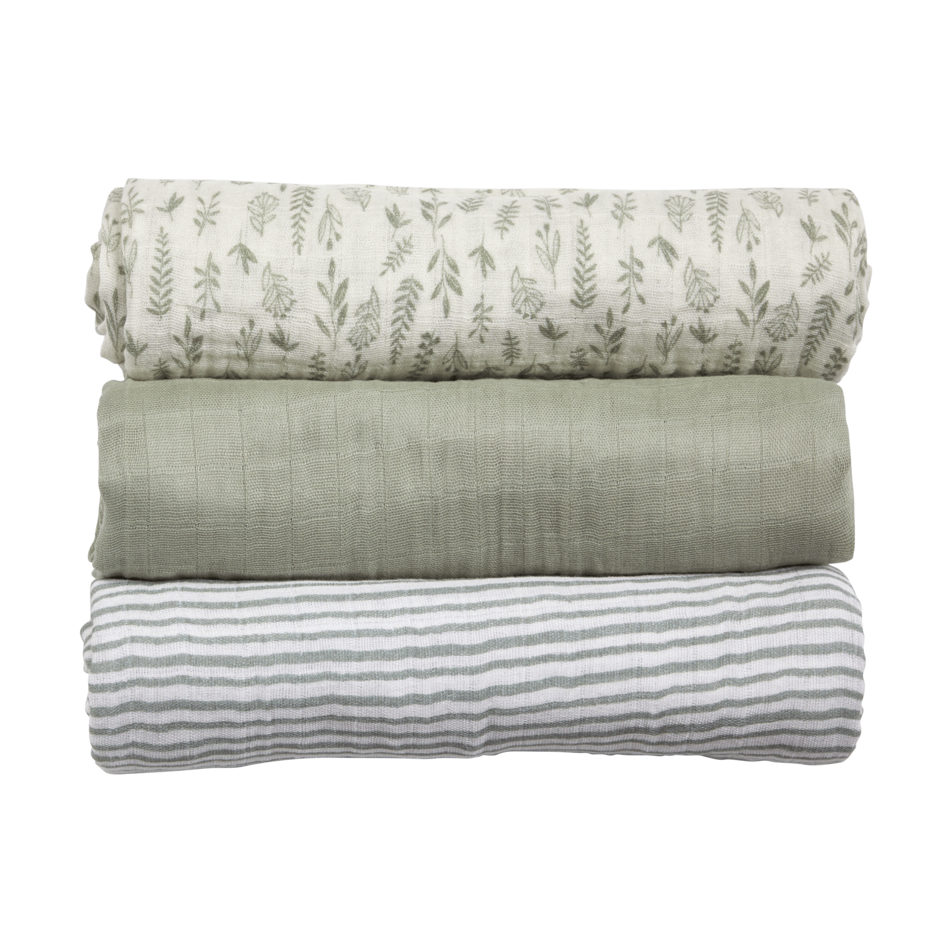 Thumbnail of Multi Leaf Sage