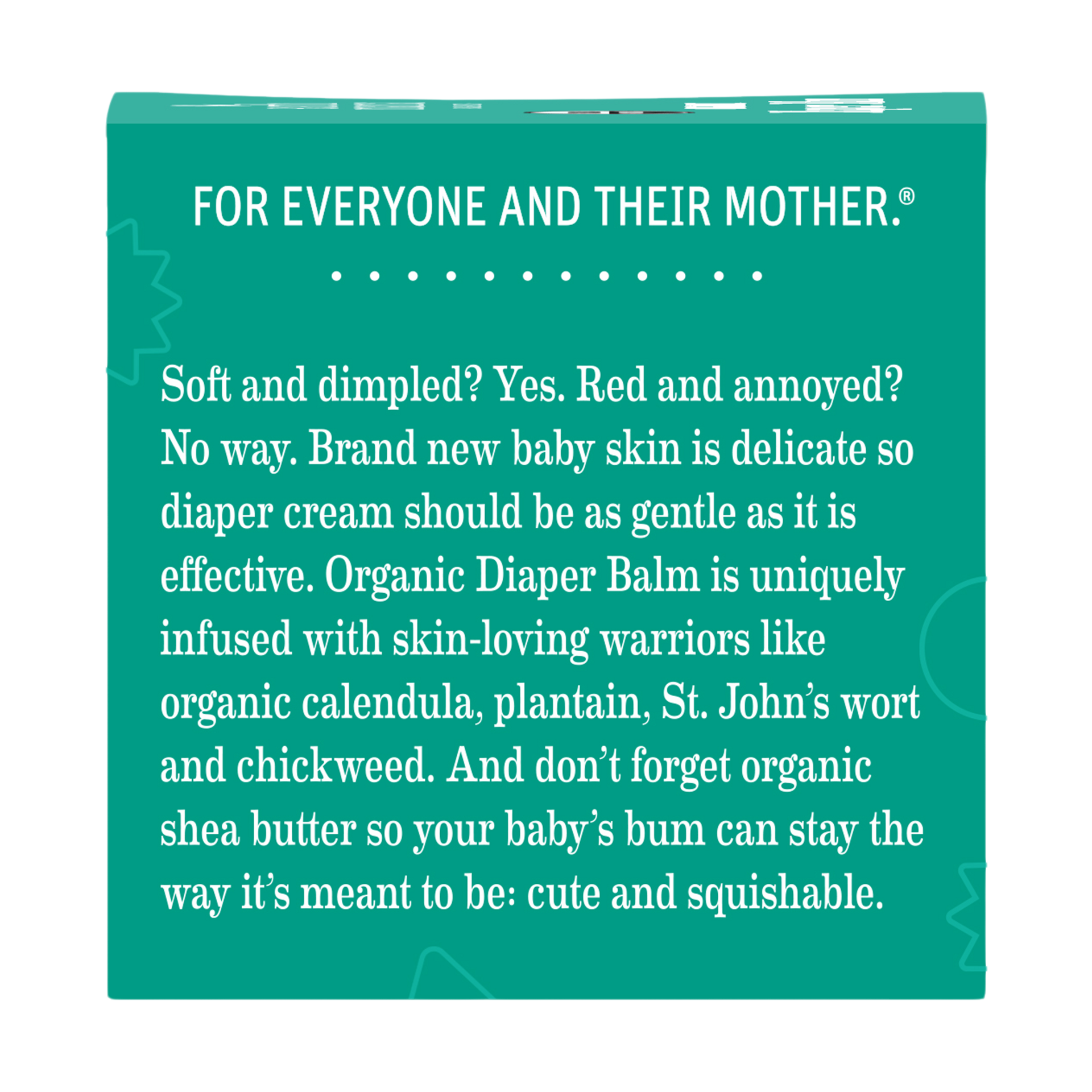 Earth Mama Earth Mama x Babylist Diaper Balm - 2 Oz, 2.