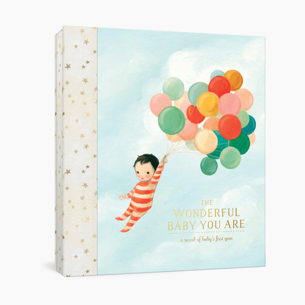 The Wonderful Baby You Are: A Record of Baby's First Year.
