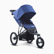 Thumbnail of Blueberry