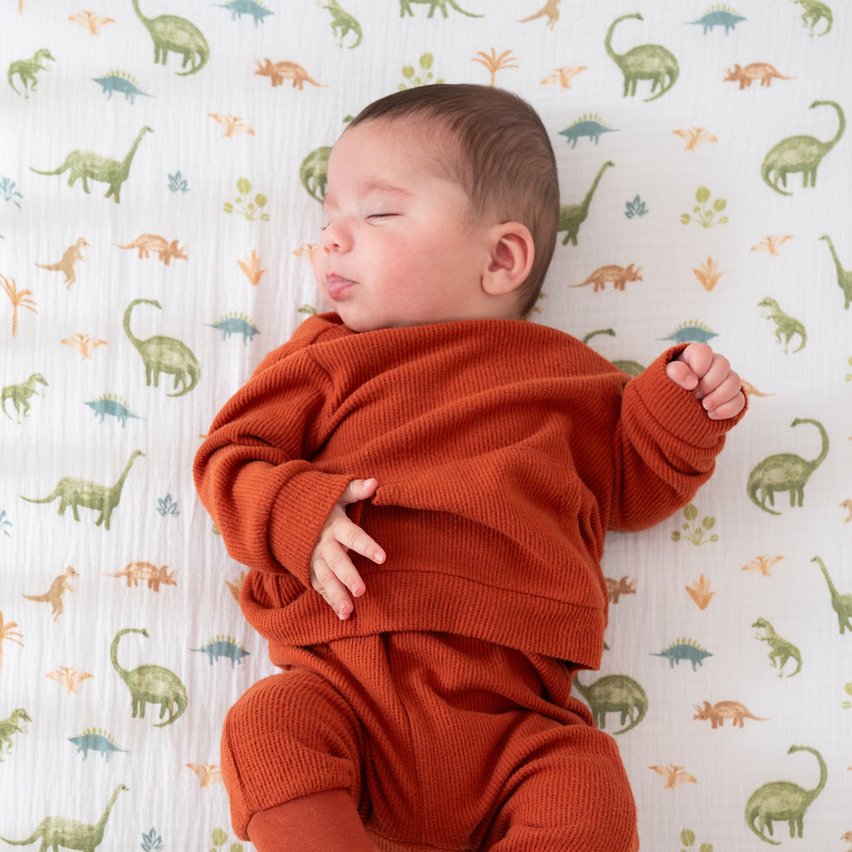 Aden + Anais Essentials Cotton Muslin Crib Sheet - Dino Jungle.