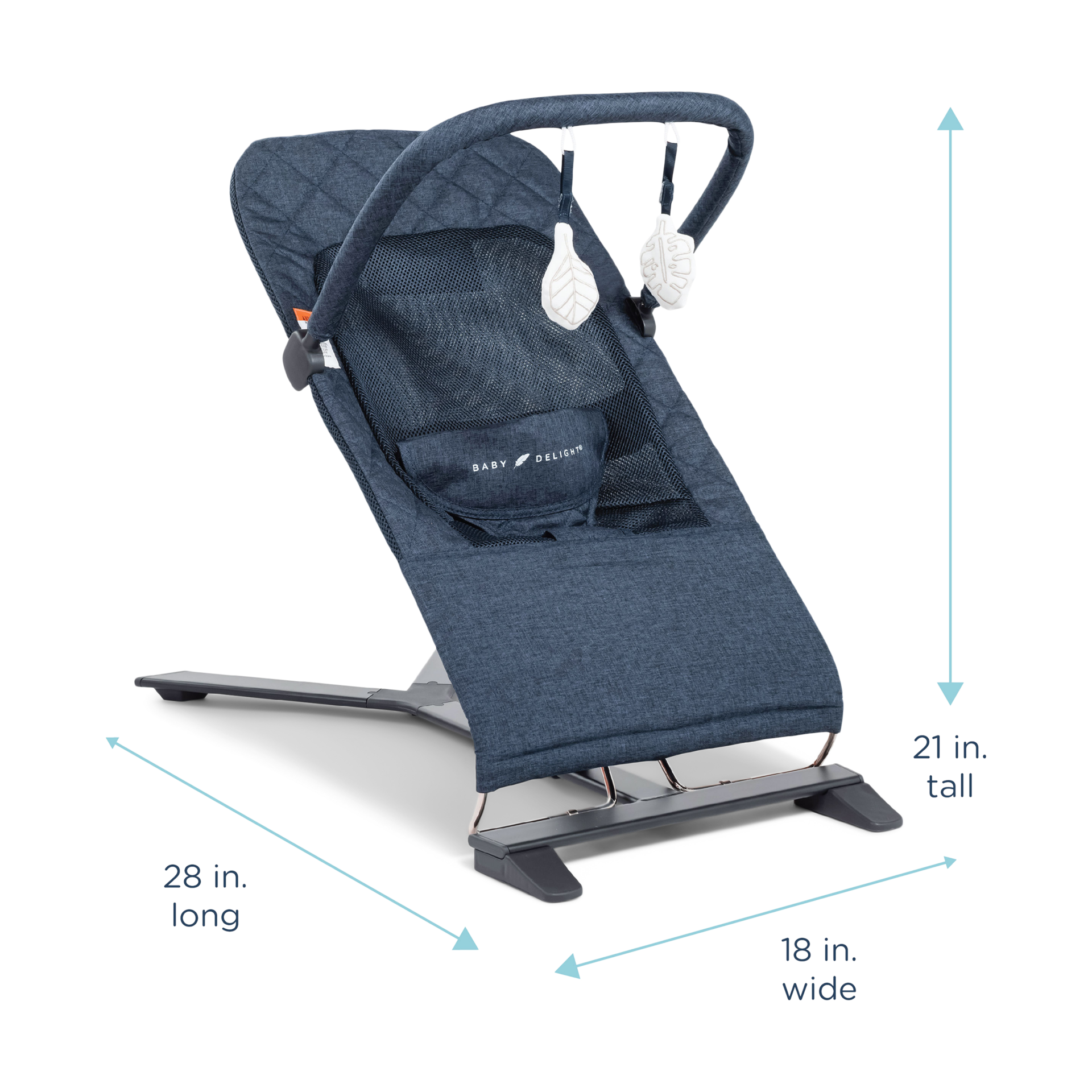 Baby Delight Alpine Deluxe Portable Bouncer.