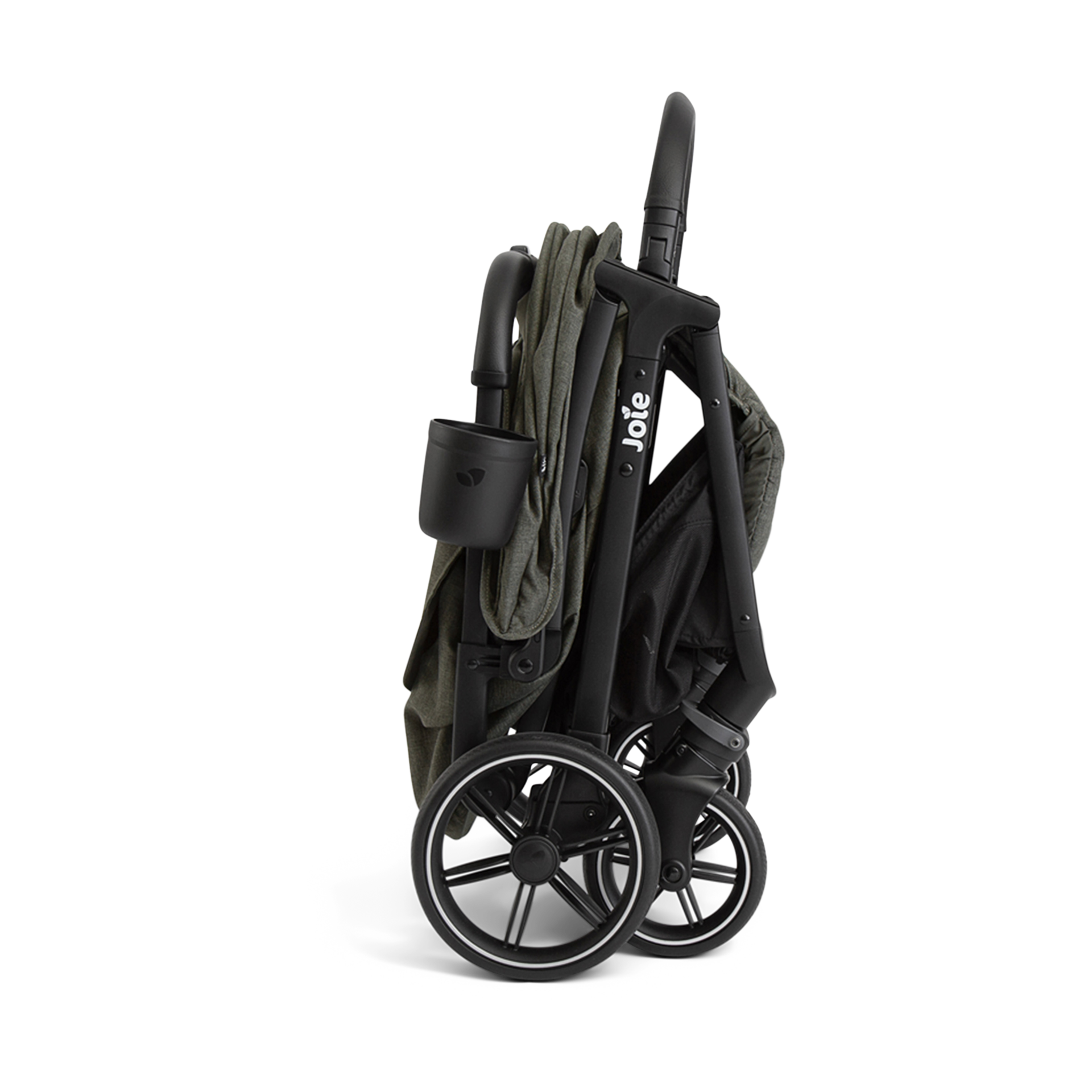 Joie Nutmeg And Rue - Evergreen.